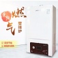 海億客廠家燃氣壁掛爐燃氣兩用鍋爐供暖生活熱水雙用鍋爐26kw