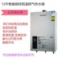 12升智能數(shù)碼恒溫燃?xì)鉄崴?天然氣 無氧銅水箱