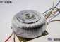 廠家供應(yīng) 電源環(huán)形變壓器300w 220v轉(zhuǎn)110v 12v 小型低頻變壓器